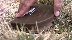 Our pest control in springfield eliminates your pest problems at the source and prevent future infestations from occurring. Bug Zero Pest Services Youtube