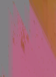 The Biological bulletin