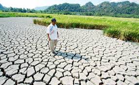 Tenuk malaysia hanya tinggal di kawasan pergunungan terpencil dan habitat asalnya sudah pupus akibat diburu manusia dan pembangunan. Bukan Untuk Jana Elektrik Je Ini 5 Fungsi Empangan Di Malaysia Yang Ramai Tak Tahu