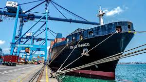 Image result for Bianco 1995 Fleet