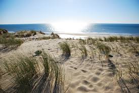 Balade Bordeaux Pey Berland Lacanau Ocean Lacanau Ocean Lacanau Gironde