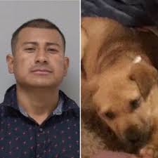 Madera Man Arrested for Killing Family's Dog