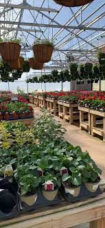 Warren family garden center and nursery. Warren Family Garden Center Nursery Home Facebook