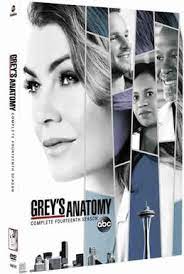Download latest tv show and tv series subtitles. Grey S Anatomy Season 14 Wikipedia