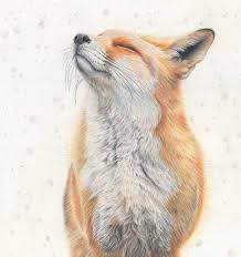 Value is one of the seven elements of art. Creating Realistic Texture And Fur Using Derwent Procolour With Jess Pritchard Derwent Blog