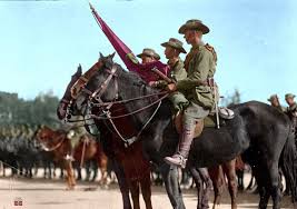 Pin On Colorizing The Light Horse