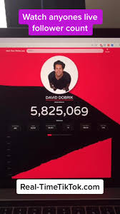 Watch Anyone S Live Follower Count Fyp Realtimetiktok