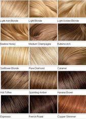 Hair Color Chart Hair Color Hair Chart Haircolor
