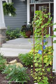 These diy trellis ideas are the perfect solution to give your plants a place to grow and get some more air. 22 Best Diy Trellis Ideas Easy Garden Trellis Project Designs