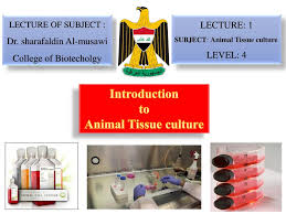 We did not find results for: Introduction To Animal Tissue Culture Ppt Download