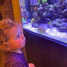 Antique woman's Schwinn Collegiate Bike. 5 speed