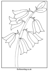 At once they left their nets and followed him. St Andrew S Day Colouring Pictures Coloring Pictures Colouring Pages Coloring Pictures For Kids
