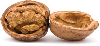 Juglans nigra, the eastern american black walnut, is a species of deciduous tree in the walnut family, juglandaceae, native to north america. Walnut Tree Nut Species Uses Facts Britannica