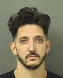 ALBERTI, JOSEPH PETER Charges 893.13 6A (FT) DRUGS-POSSESS