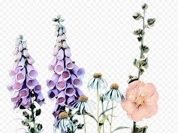 Here you can explore hq bunga transparent illustrations, icons and clipart with filter setting like size, type, color etc. Bunga Bunga Buket Bunga Kado Kelopak Ulang Tahun Zazzle Desain Bunga Bunga Liar Png Klipartz