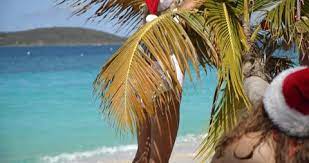 From snowy scenes to traditional christmas backgrounds, we have the holiday backdrop to suit any photo session you may have! Christmas Ornaments On Beach Stock Video Footage 4k And Hd Video Clips Shutterstock