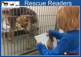 Human beings, for one reason or another, may hide their feelings, but a cat does not. open your arms and your home to one of our many cats at hsgc. Rescue Readers At The Humane Society Of Minnesota