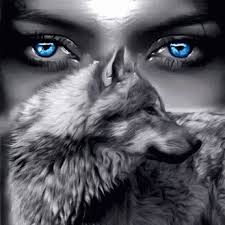 Two black and white wolves wallpaper, wolf, couple, animal, animal themes. White Wolf With Blue Eyes Gifs Tenor