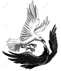 Black And White Raven Drawing White And Black Birds Fighting Sponsored Black White Fighting Birds Black And White Birds Fighting Drawing Drawings