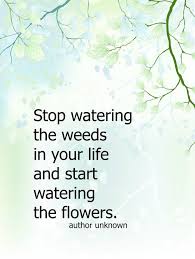 Posted on november 10, 2020november 10, 2020 by sara lynch. Water Your Flowers Not Your Weeds What Meegan Makes Season Quotes Words Of Wisdom Quotes Life Words