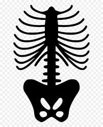 You must have an electronic cutting machine with software that reads offered file formats to use this design that accept svg, pdf, png, jpg, dxf, eps. Spine Skeleton Skeleton Rib Cage Pattern Hd Png Download Vhv