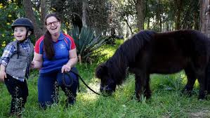 Riding for the Disabled Association: Horses return to Orchard Hills centre  after horror three months recovering from Sydney's storms
