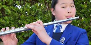 Elisa Wu Wins American Protégé Competition