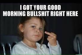Not A Morning Person In 2020 Funny Good Morning Memes Good Morning Funny Funny Quotes