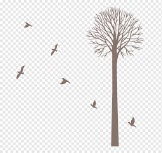 Species are distinguished by presence and type of hairs on stems. Wall Decal Sticker Decorative Arts Furniture Tree Bird Angle Brown Tree Branch Png Pngwing