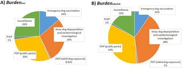 Pie Charts Comparing The Components Of The Economic Burden
