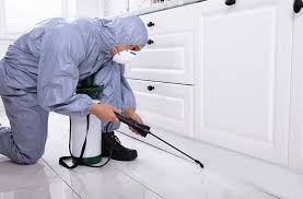 Top ten reviews is supported by its audience. 5 Best Exterminator Companies In Canberra Top Exterminator Companies Exterminator Pest Control Services Termite Treatment