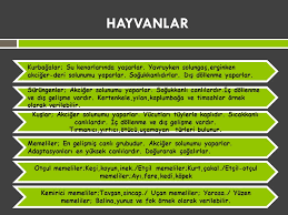 Yakin Cevremizdeki Organizmalar Ppt Video Online Indir
