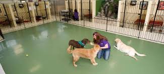 We did not find results for: Pet Boarding Grooming Daycare Services Pet Palace Resort