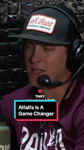 Alfalfa Planting Tips for Small Food Plots and Deer Hunting Success