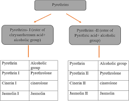 Image result for Pyrethrin