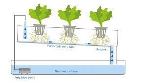 Hydroponic Various Hydroponics Systems