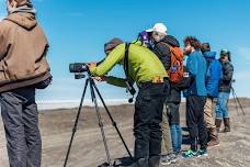 Utqiaġvik Migratory Bird Festival