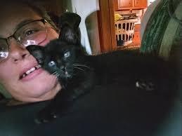 Any tips for weaning a 4.5-week-old kitten?