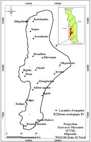 Image result for Ancistrorhynchus clandestinus