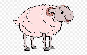 I am not sure you will draw if you start out applying in all the states out west that offer bighorn sheep tags. How To Draw A Sheep Really Easy Female Sheep Drawing Free Transparent Png Clipart Images Download