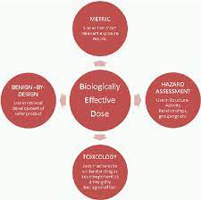 The Biologically Effective Dose In Inhalation Nanotoxicology Semantic Scholar