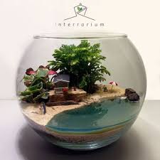 Terrarium Seaswan Dekoratif 197527 Zet Com Terraria Bitki Terrarium