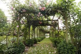 Le Jardin Du Grand Chene Est Situe Sur La Commune De Larroque Engalin A Mi Chemin Entre Toulouse Et Bordeaux Et A 30 Jardins Amenagement Jardin Parc Et Jardin