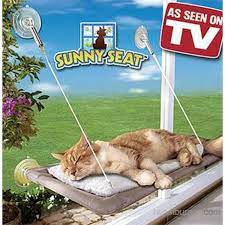 Her iki kullanılan yöntemde de camı çizmemek için dikkatli ve. Sunny Seat Cama Yapisan Kedi Yatagi Fiyati Taksit Secenekleri