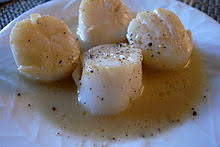 Scallops are widely considered one of the healthiest seafoods. Scallop Wikipedia