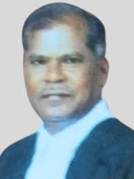 CMS Council And Board Of Directors