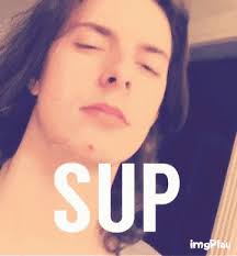 Dylan Fortier Sup GIF