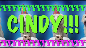 Maybe you would like to learn more about one of these? Happy Birthday Cindy Epic Happy Birthday Song Youtube