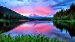 Check spelling or type a new query. 49 Pc Hd Wallpaper Of Nature On Wallpapersafari