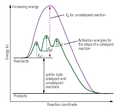 Made by faculty at the university of colorado bould. Catalysis Fundamentals Chemical Engineering Page 1
